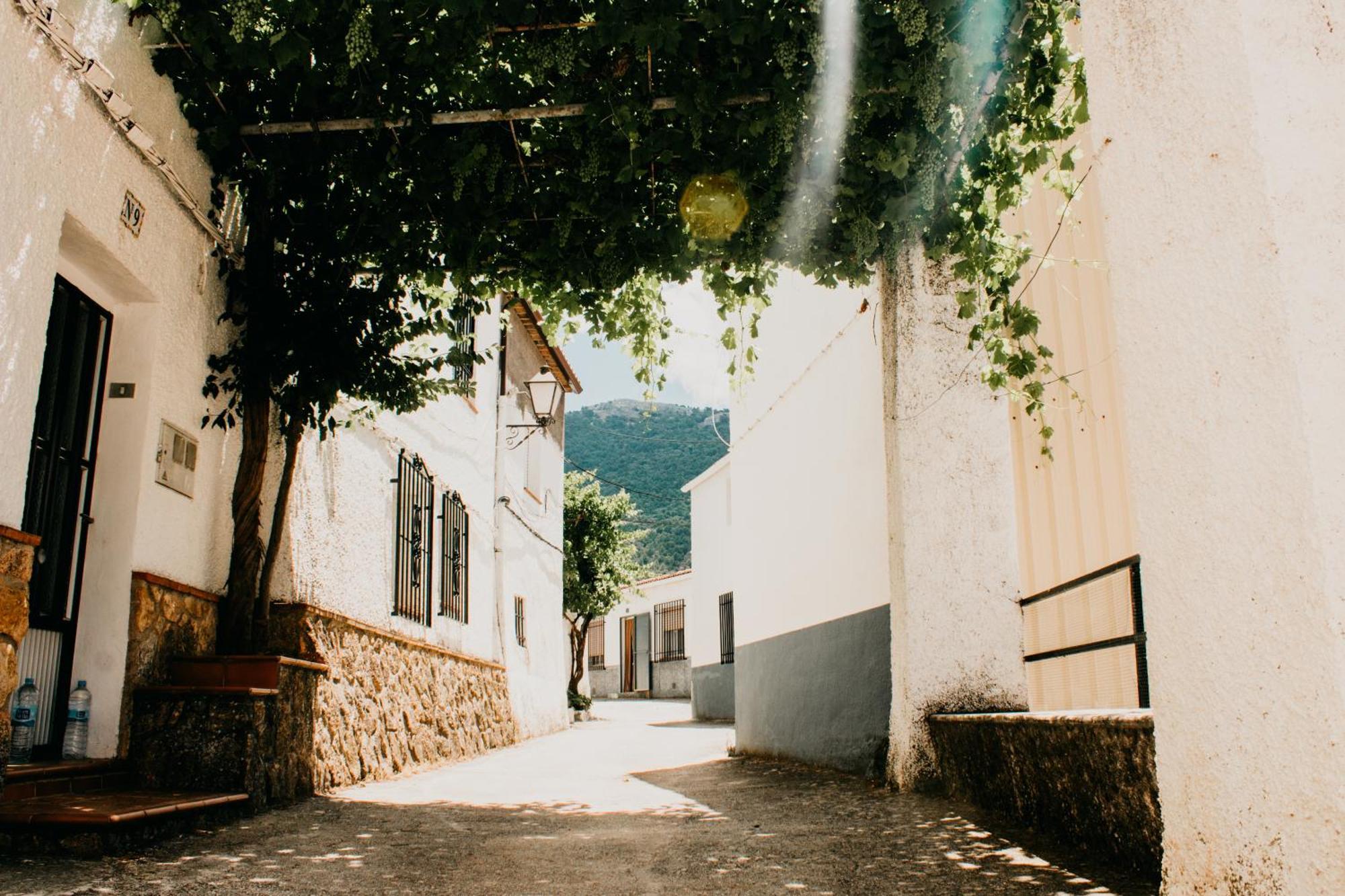 Apartamentos El Callejon Riopar Luaran gambar
